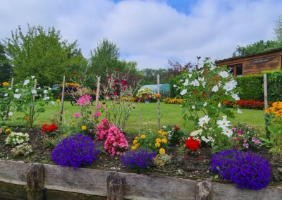 les-hortillonnages-1